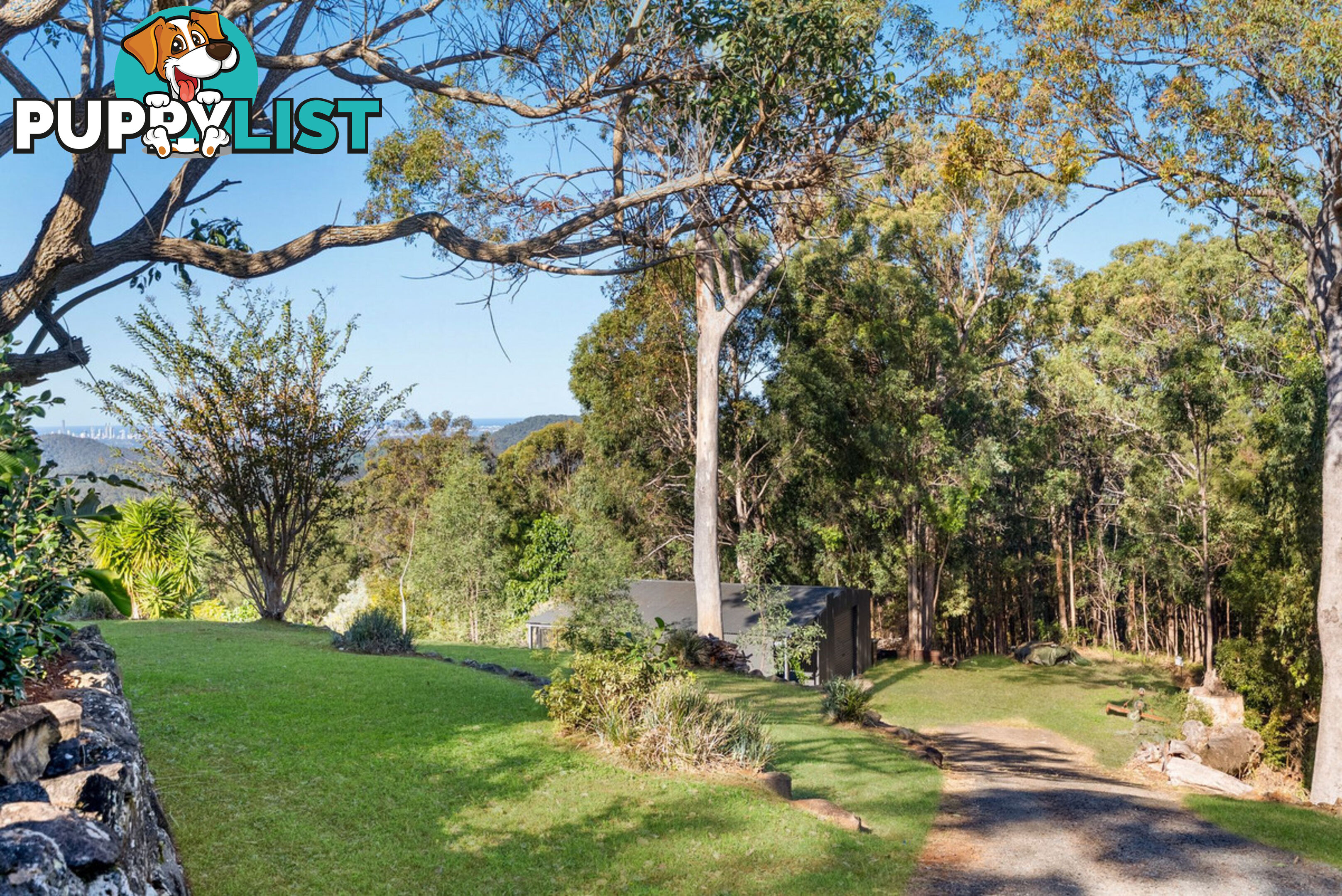50 Macrozamia Drive CLAGIRABA QLD 4211