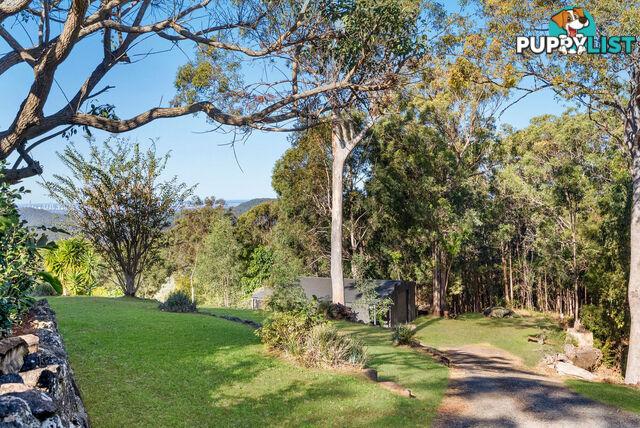 50 Macrozamia Drive CLAGIRABA QLD 4211