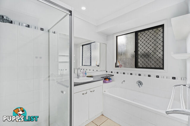22 Wellers Street PACIFIC PINES QLD 4211