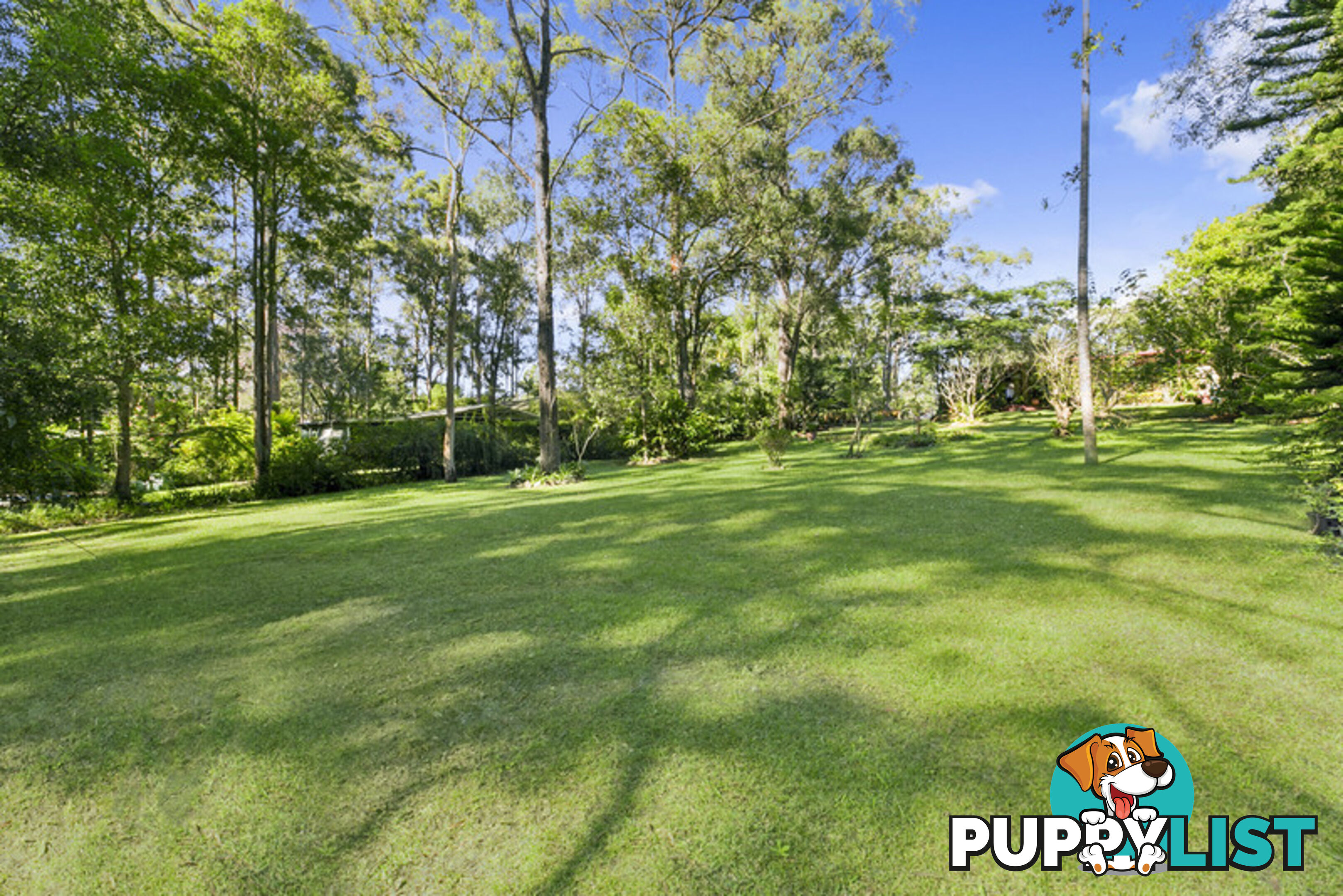 10 Wandin Street NERANG QLD 4211