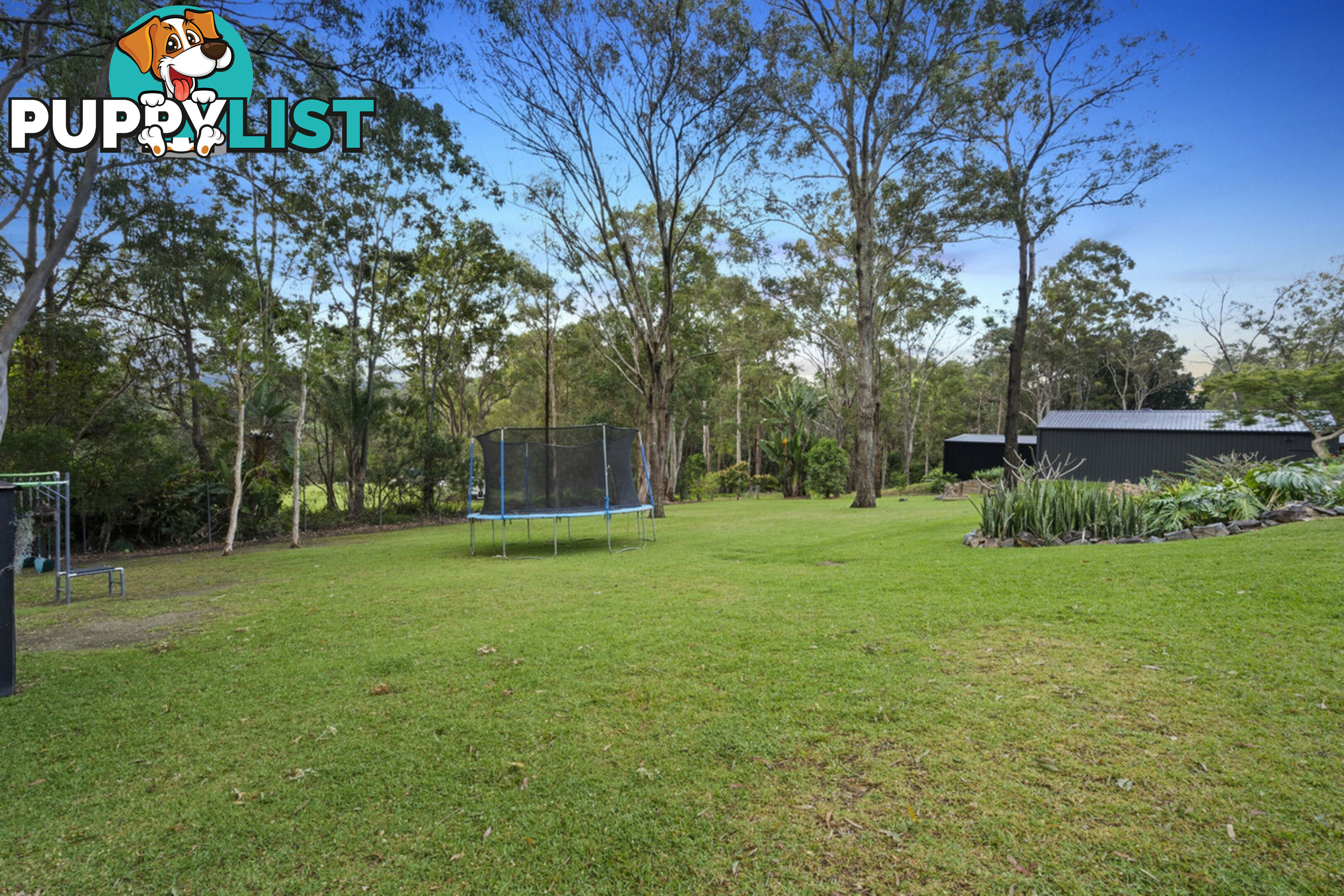 43 Winderadeen Drive HIGHLAND PARK QLD 4211