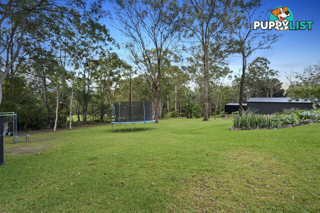 43 Winderadeen Drive HIGHLAND PARK QLD 4211