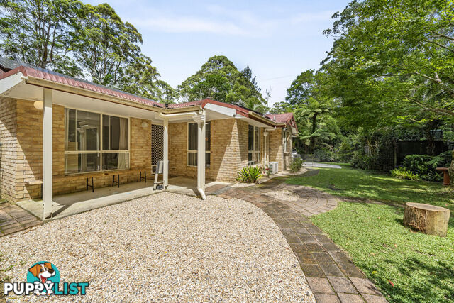 2200 Springbrook Road SPRINGBROOK QLD 4213