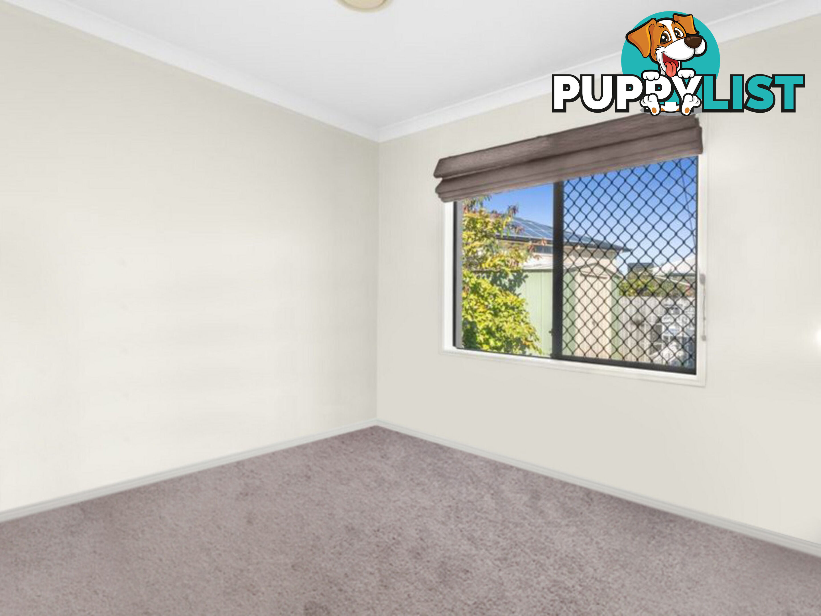 7 Pincally Crescent ORMEAU QLD 4208