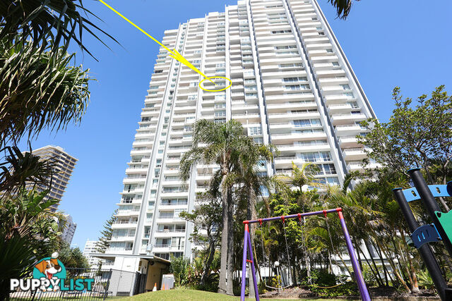 1904/3422 Surfers Paradise Boulevard SURFERS PARADISE QLD 4217