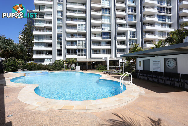 1904/3422 Surfers Paradise Boulevard SURFERS PARADISE QLD 4217