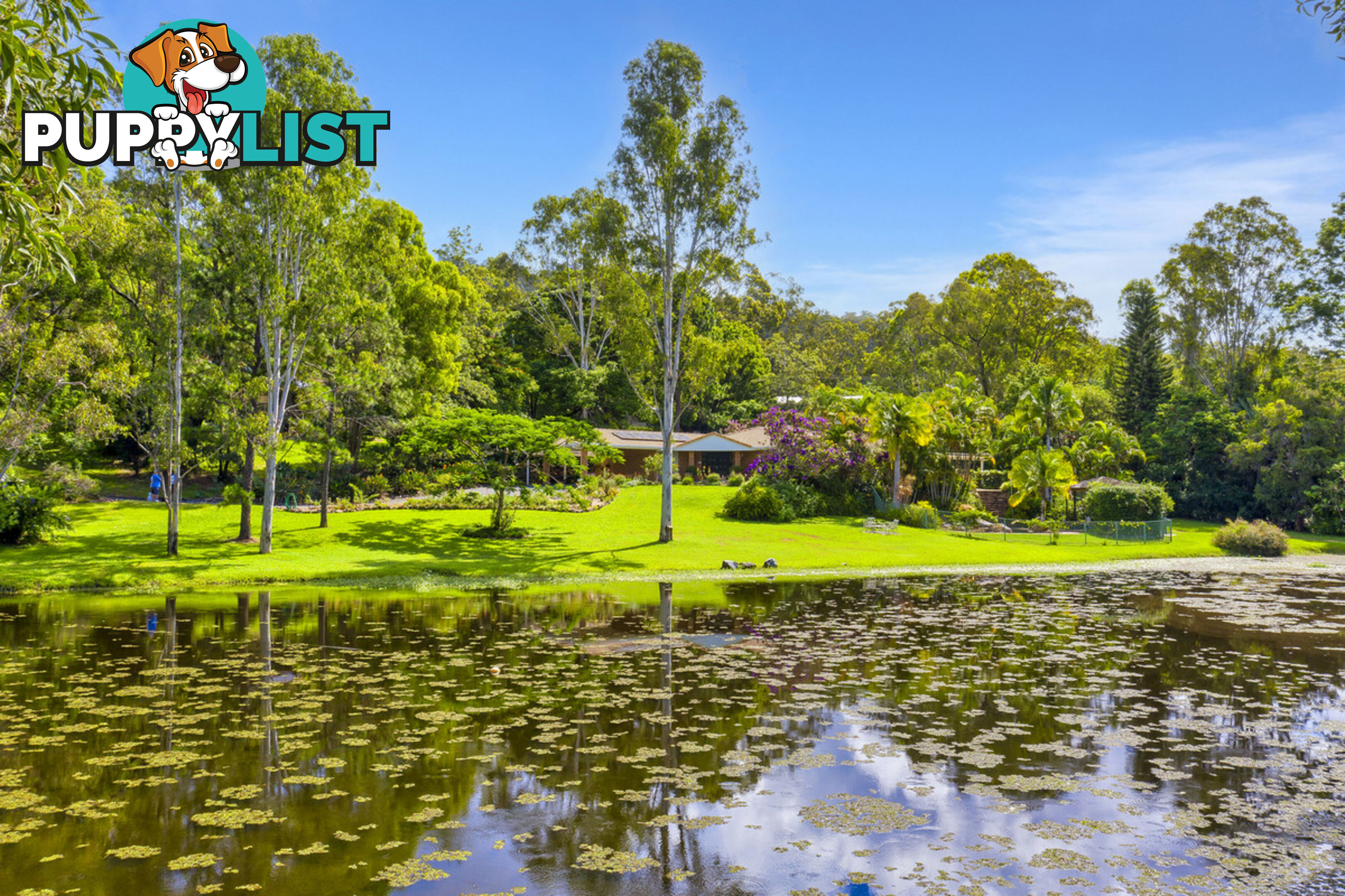 23 Glenaura Drive TALLAI QLD 4213