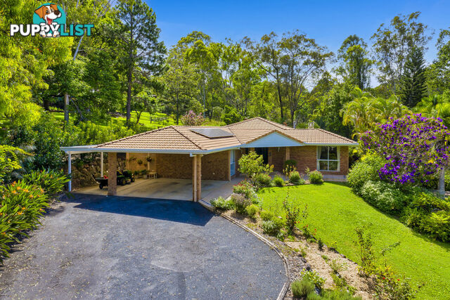 23 Glenaura Drive TALLAI QLD 4213