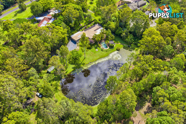 23 Glenaura Drive TALLAI QLD 4213