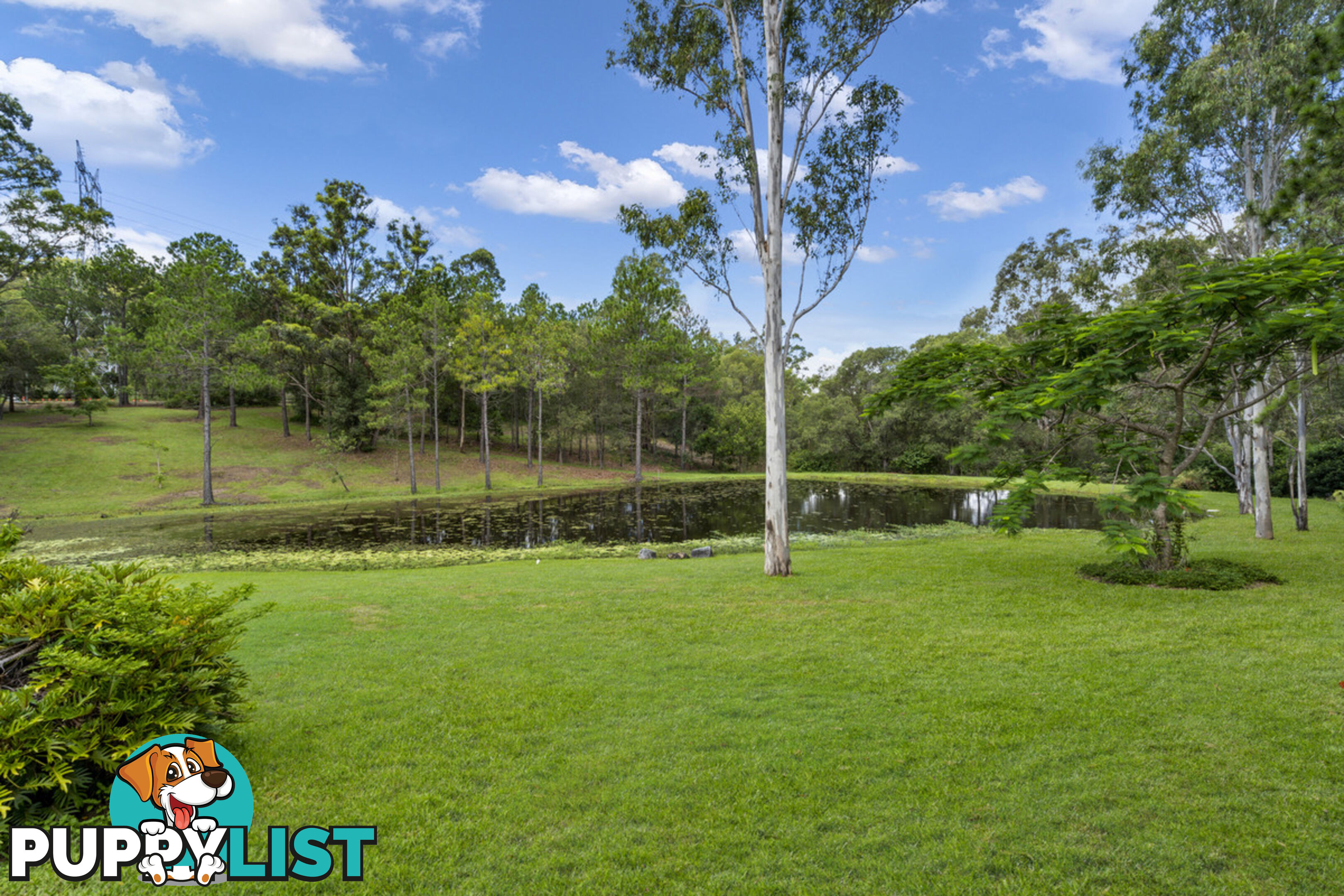 23 Glenaura Drive TALLAI QLD 4213