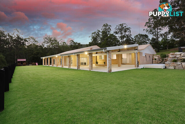 142 Country Crescent NERANG QLD 4211
