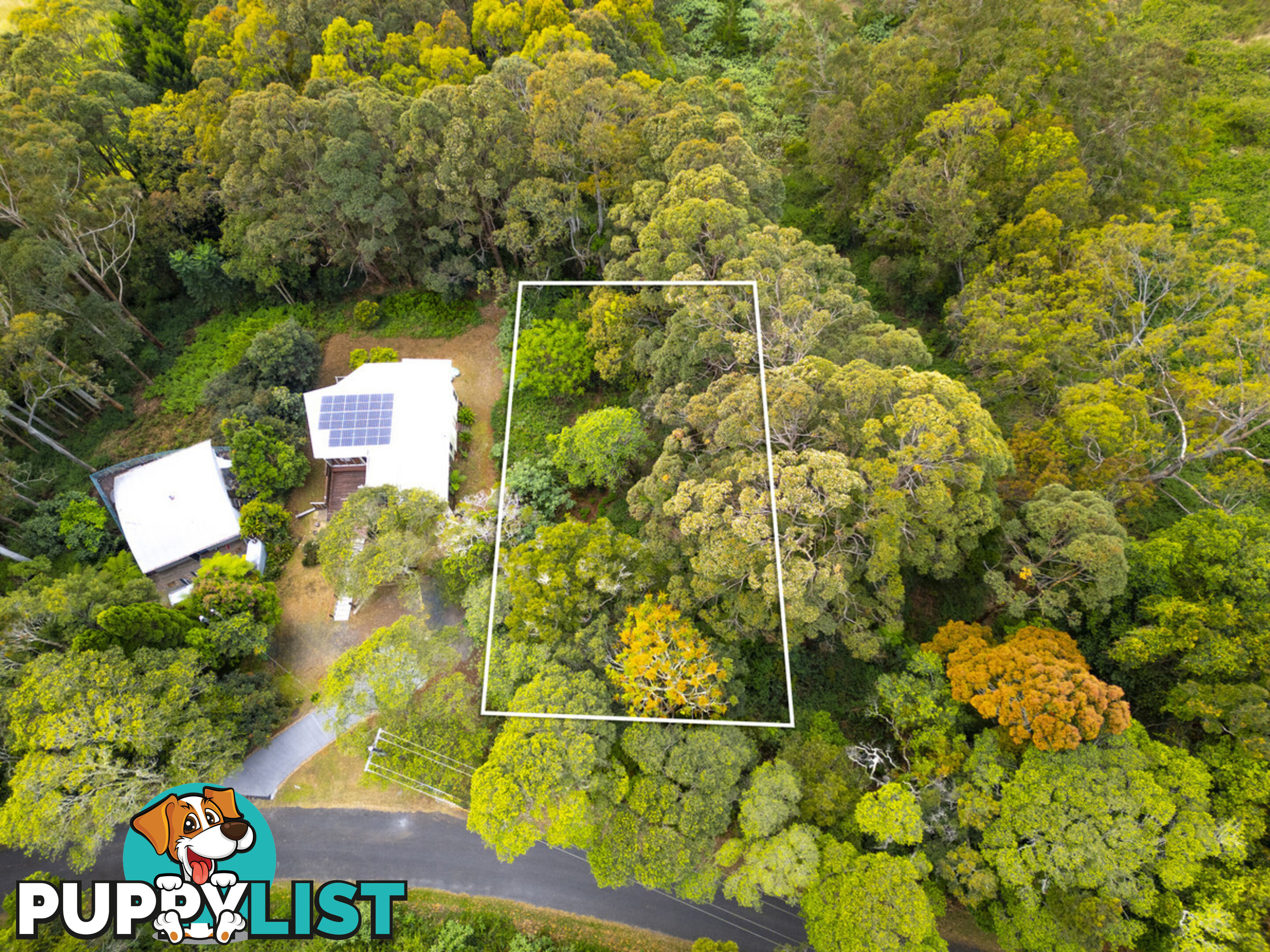 85 Lyrebird Ridge Road SPRINGBROOK QLD 4213