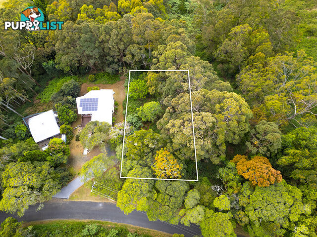 85 Lyrebird Ridge Road SPRINGBROOK QLD 4213