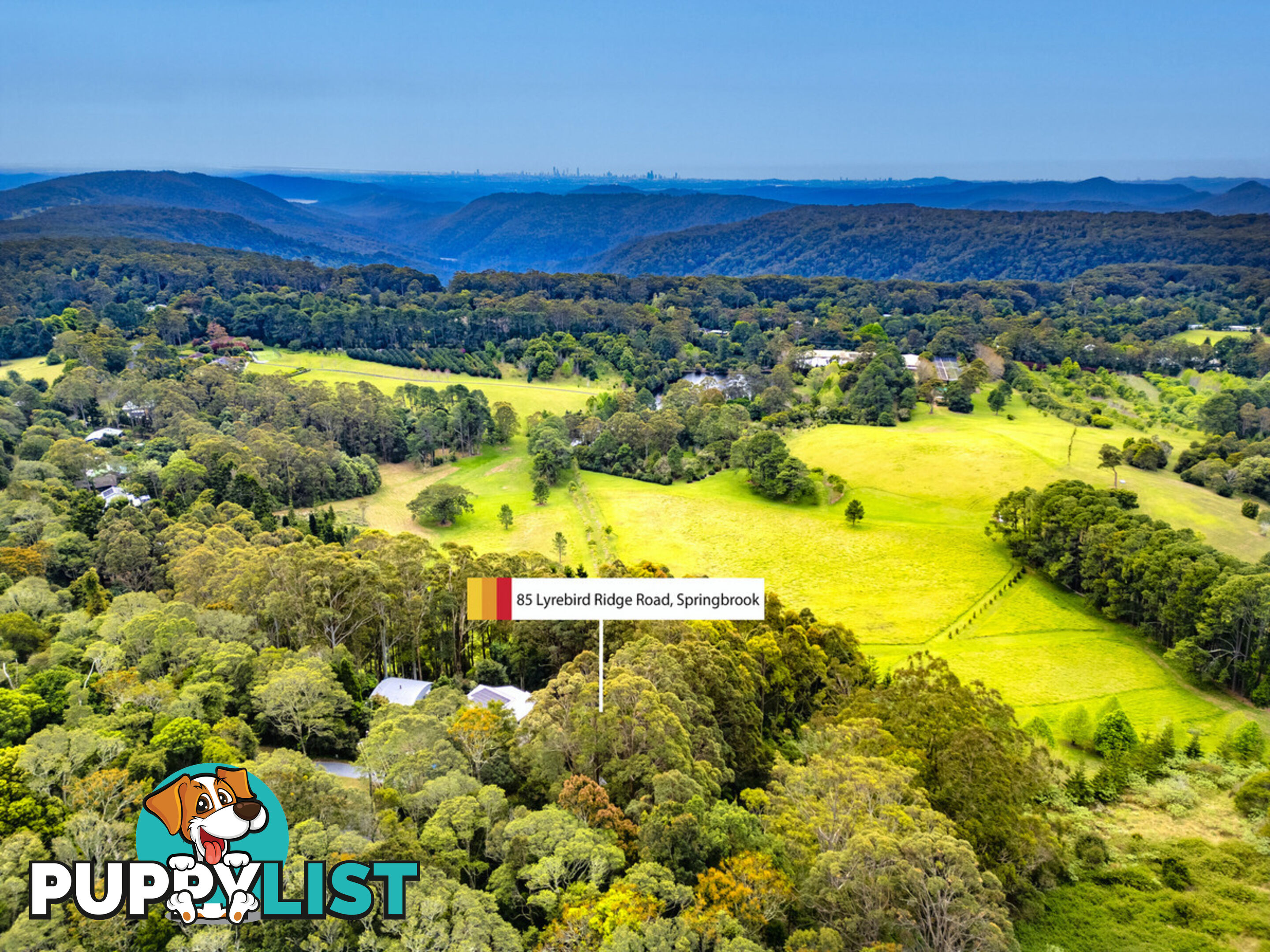 85 Lyrebird Ridge Road SPRINGBROOK QLD 4213