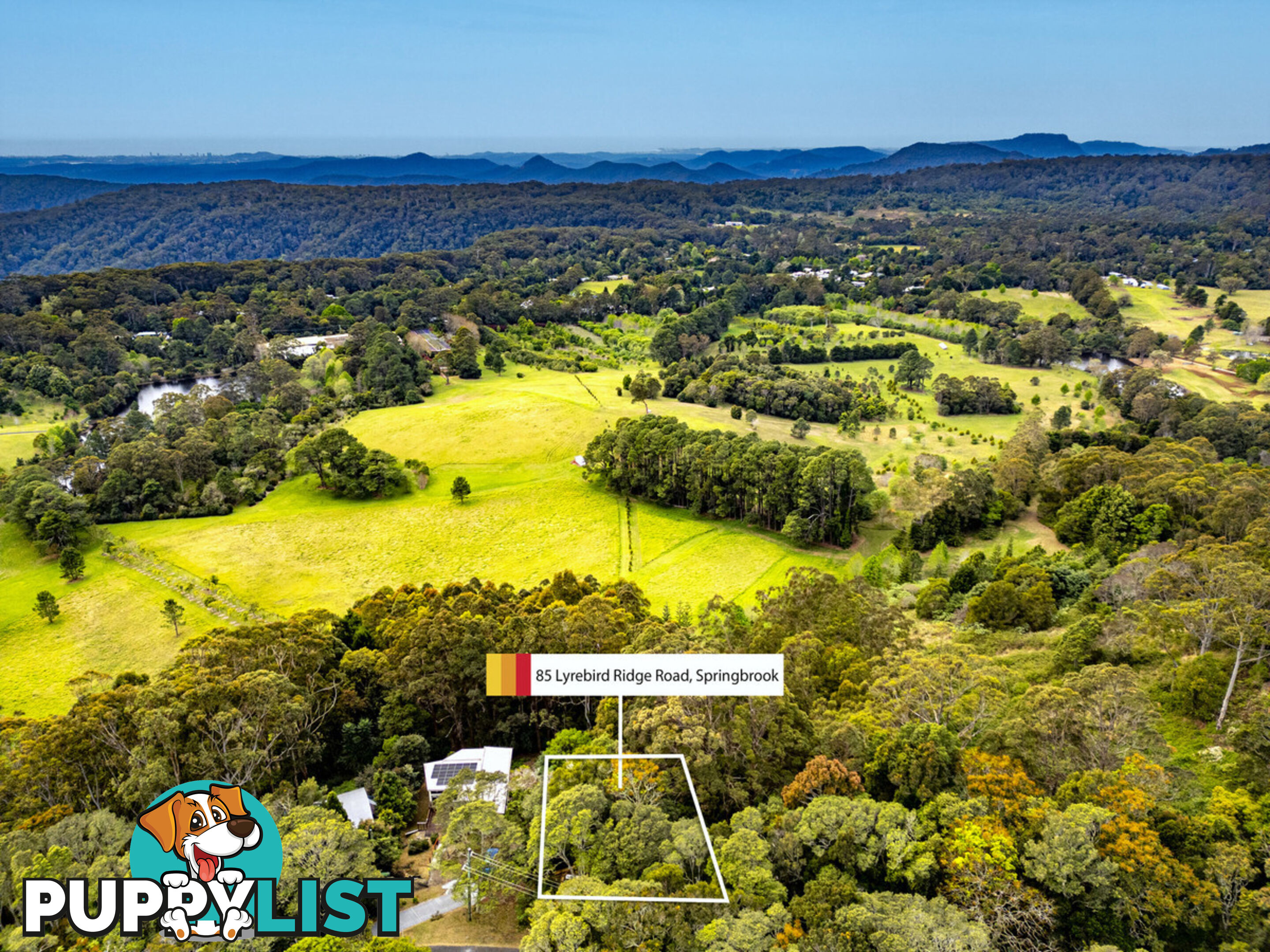 85 Lyrebird Ridge Road SPRINGBROOK QLD 4213