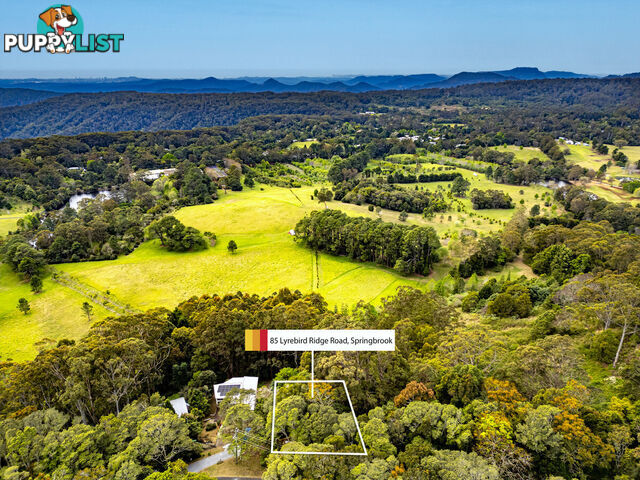 85 Lyrebird Ridge Road SPRINGBROOK QLD 4213