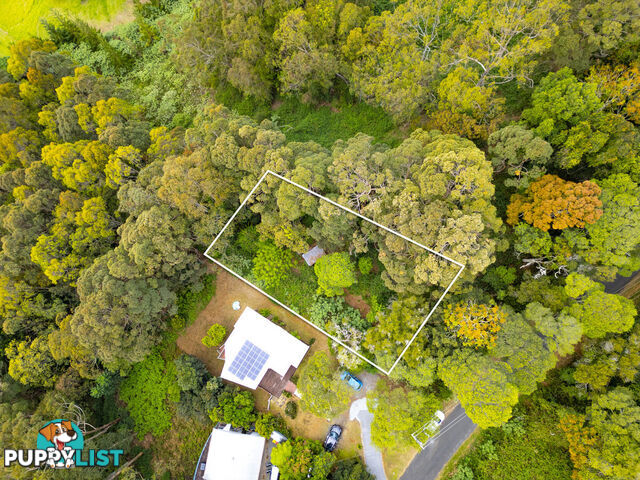 85 Lyrebird Ridge Road SPRINGBROOK QLD 4213