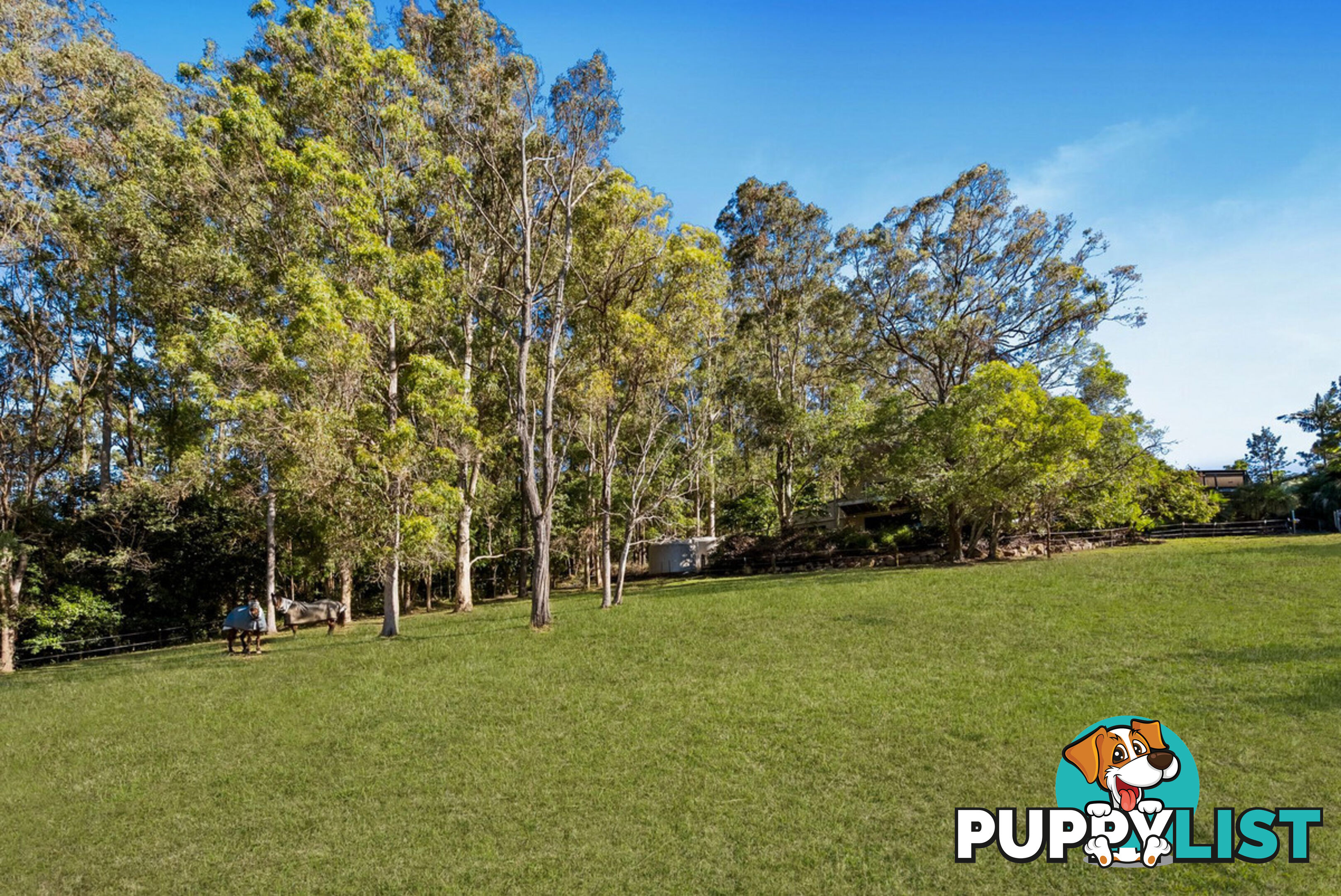 73 Barcoo Court CLAGIRABA QLD 4211