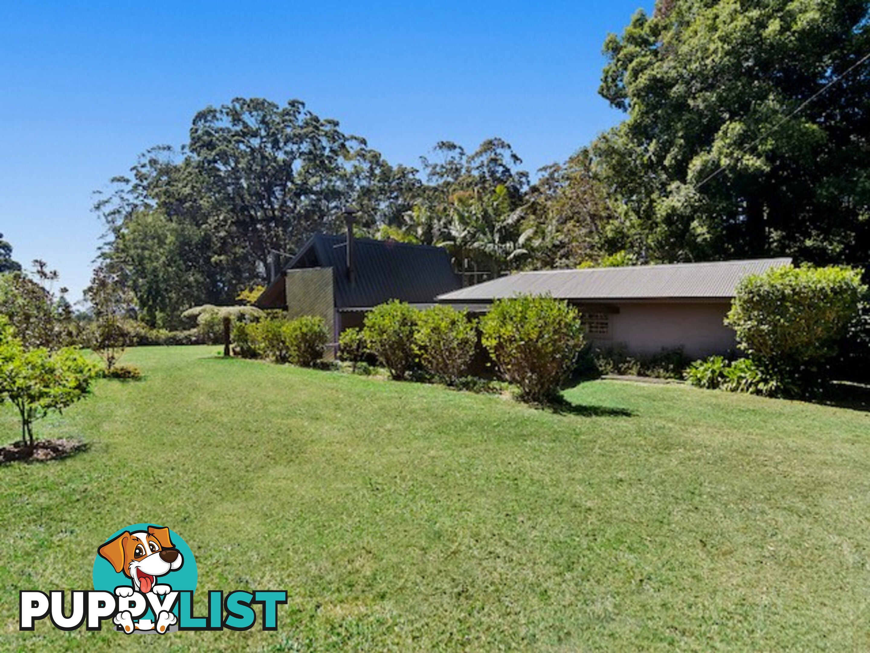 2253 Springbrook Road SPRINGBROOK QLD 4213