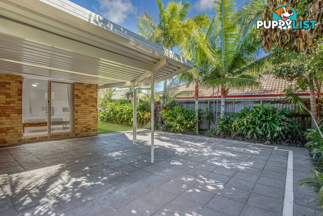 11 Ogilvie Crescent NERANG QLD 4211