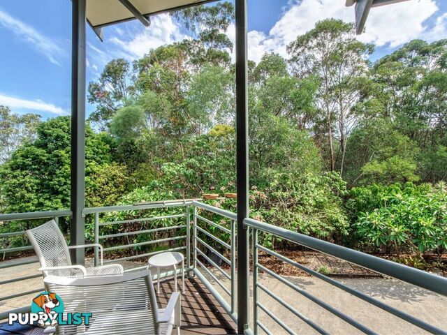 17 Killara Street CURRUMBIN WATERS QLD 4223