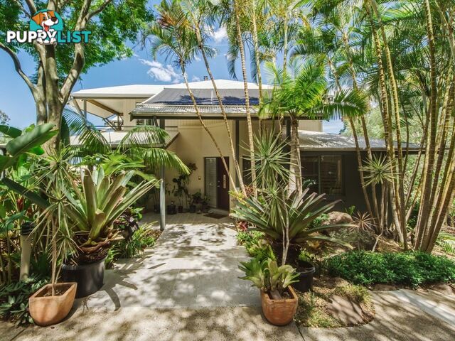 17 Killara Street CURRUMBIN WATERS QLD 4223