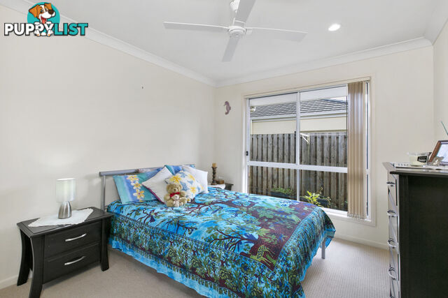 27/11 Eden Court NERANG QLD 4211