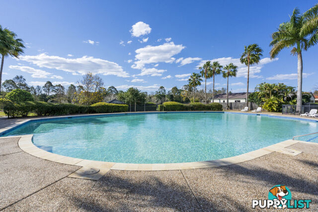 272/64 Gilston Road NERANG QLD 4211