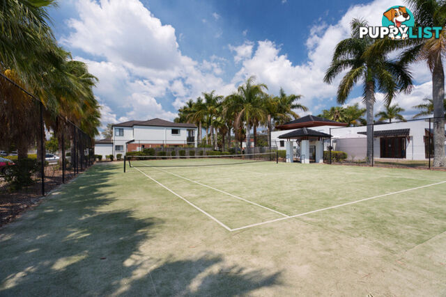 272/64 Gilston Road NERANG QLD 4211