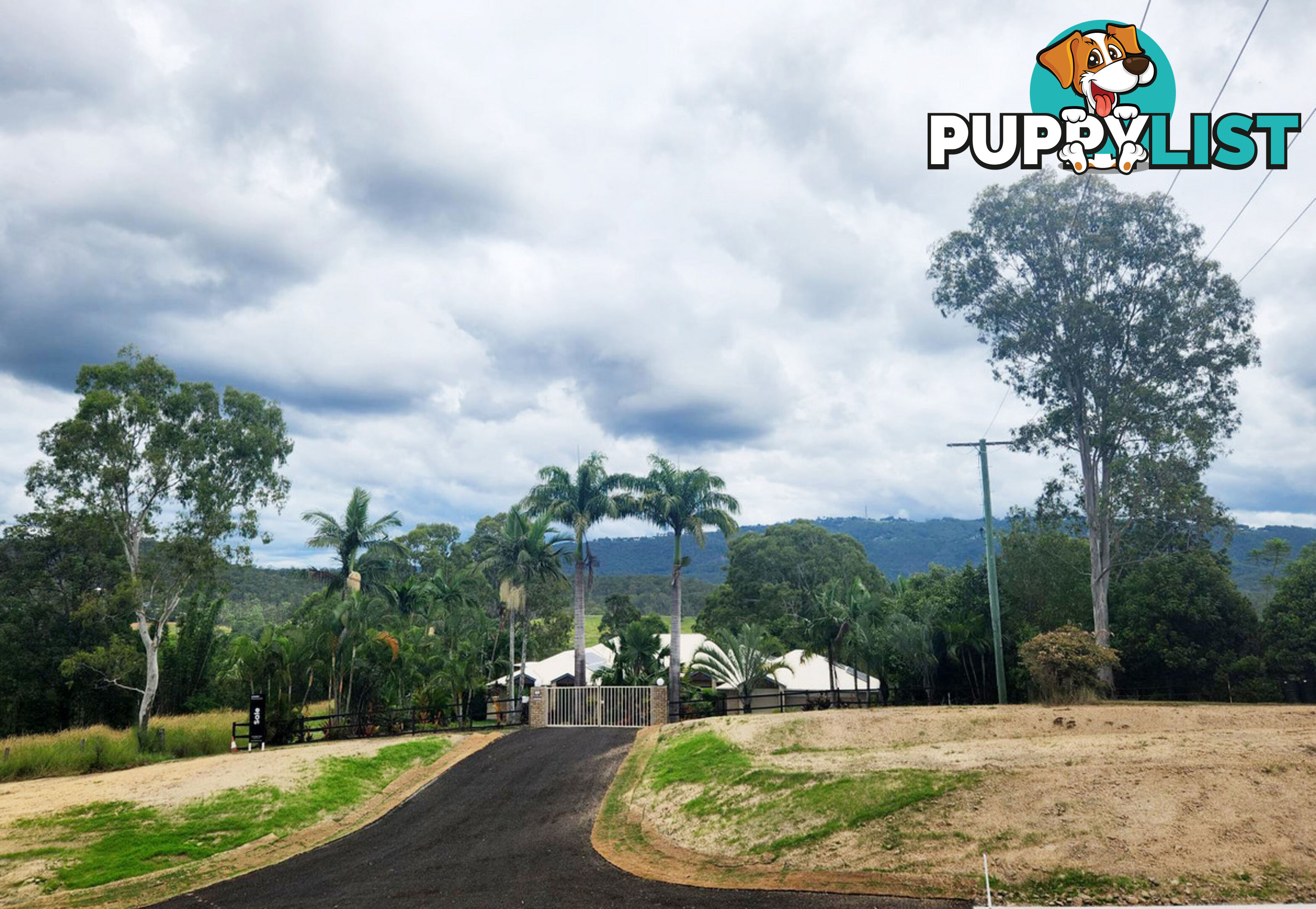 728 Maudsland Road MOUNT NATHAN QLD 4211