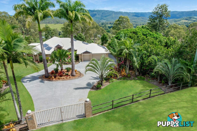 728 Maudsland Road MOUNT NATHAN QLD 4211