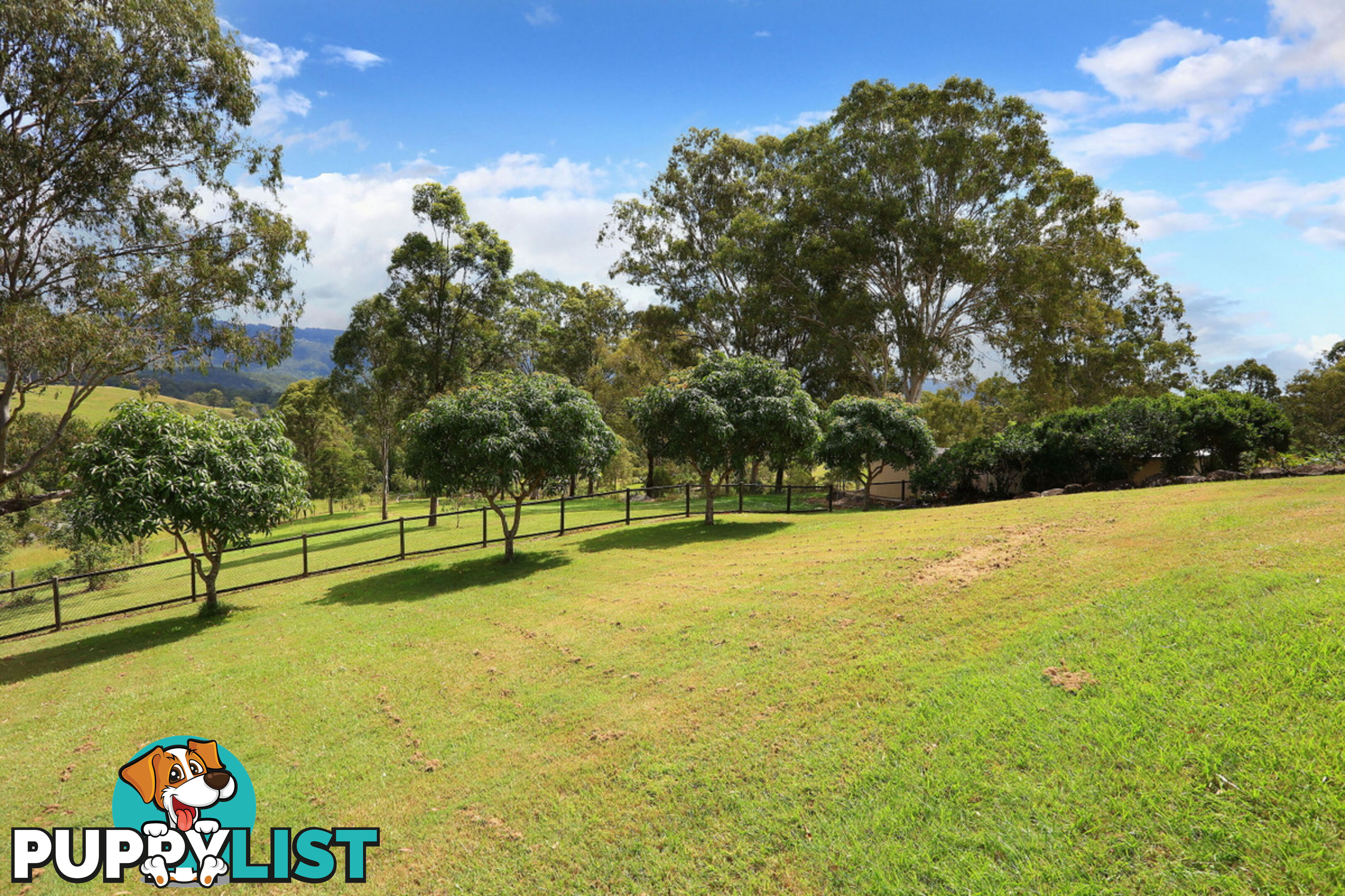 728 Maudsland Road MOUNT NATHAN QLD 4211