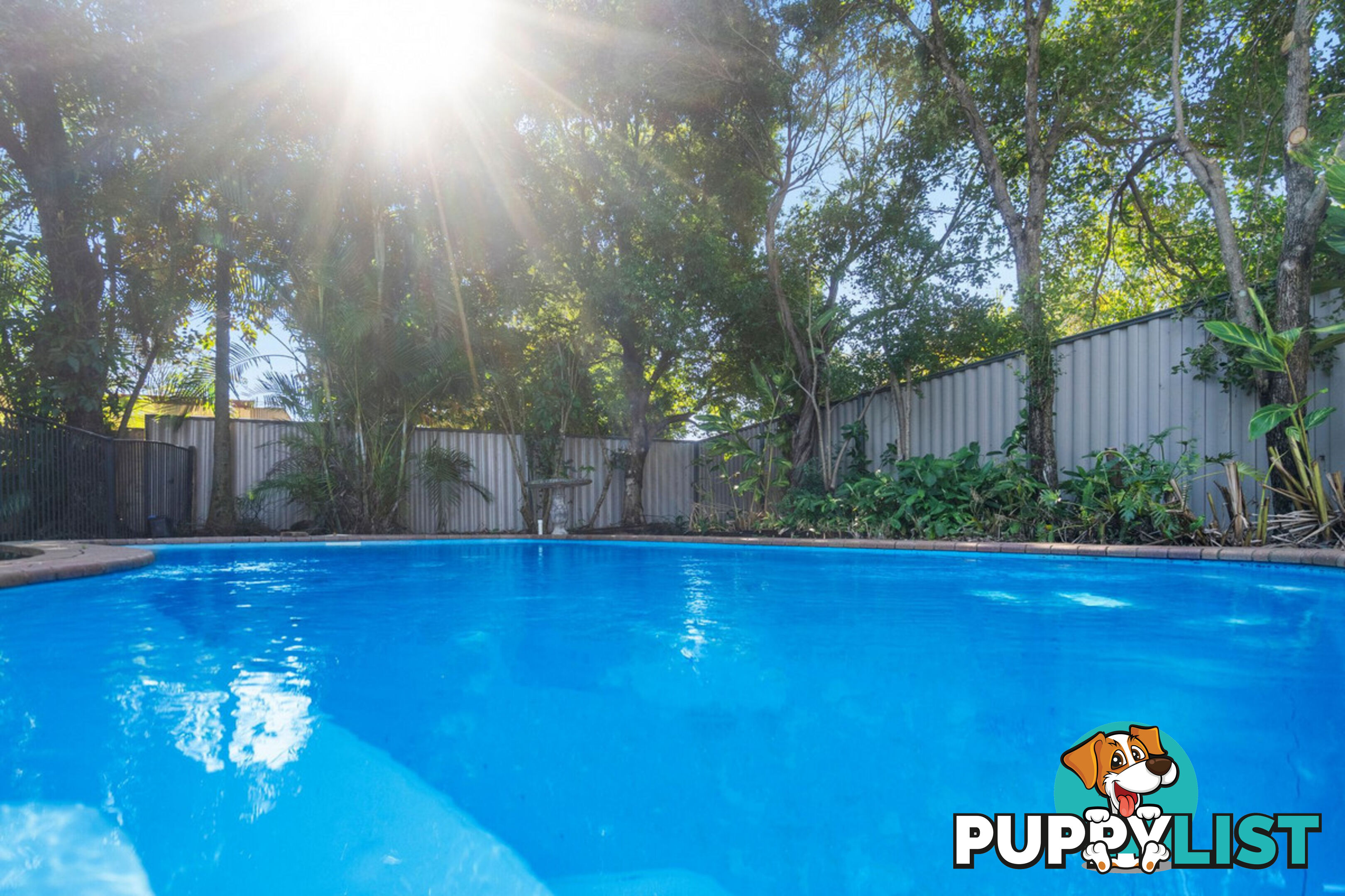 4 Rill Court NERANG QLD 4211