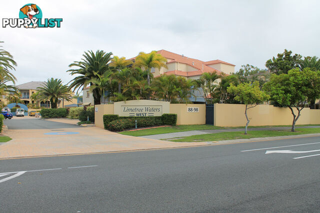 77/88 Limetree Parade RUNAWAY BAY QLD 4216