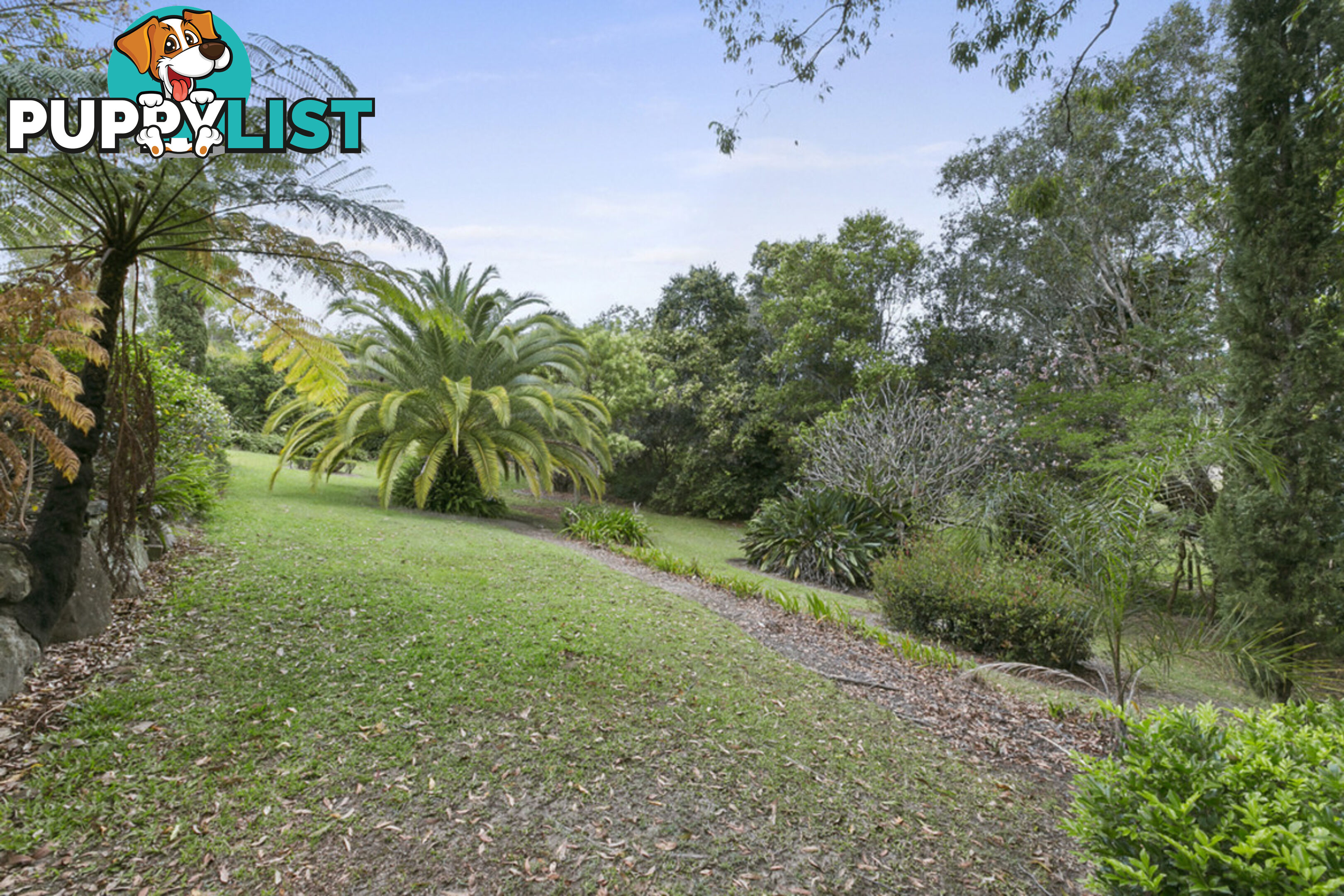 31 Winderadeen Drive HIGHLAND PARK QLD 4211