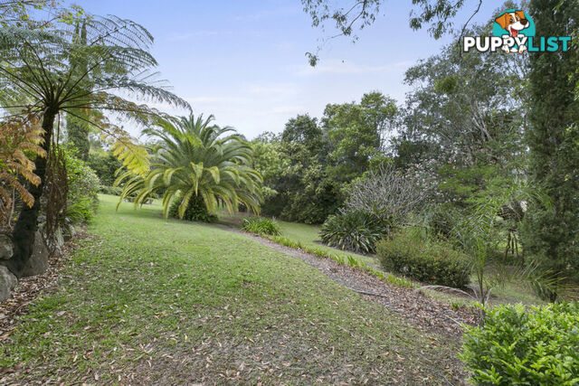 31 Winderadeen Drive HIGHLAND PARK QLD 4211