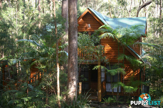 2058 Springbrook Road SPRINGBROOK QLD 4213