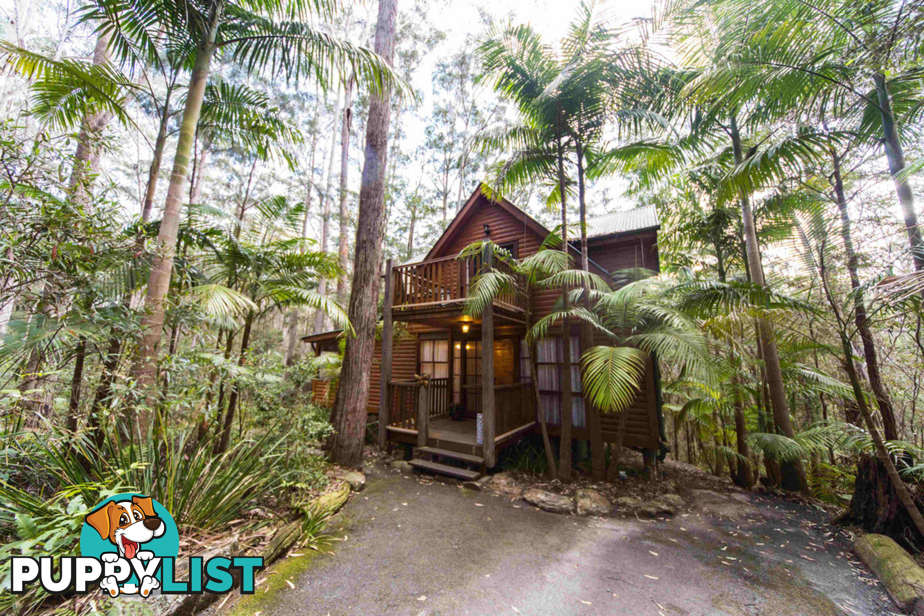 2058 Springbrook Road SPRINGBROOK QLD 4213