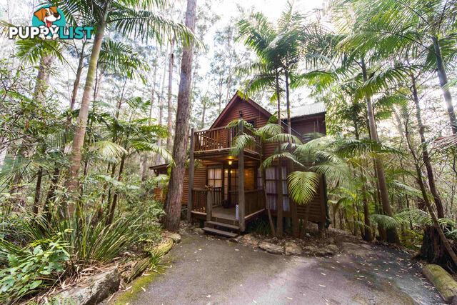 2058 Springbrook Road SPRINGBROOK QLD 4213