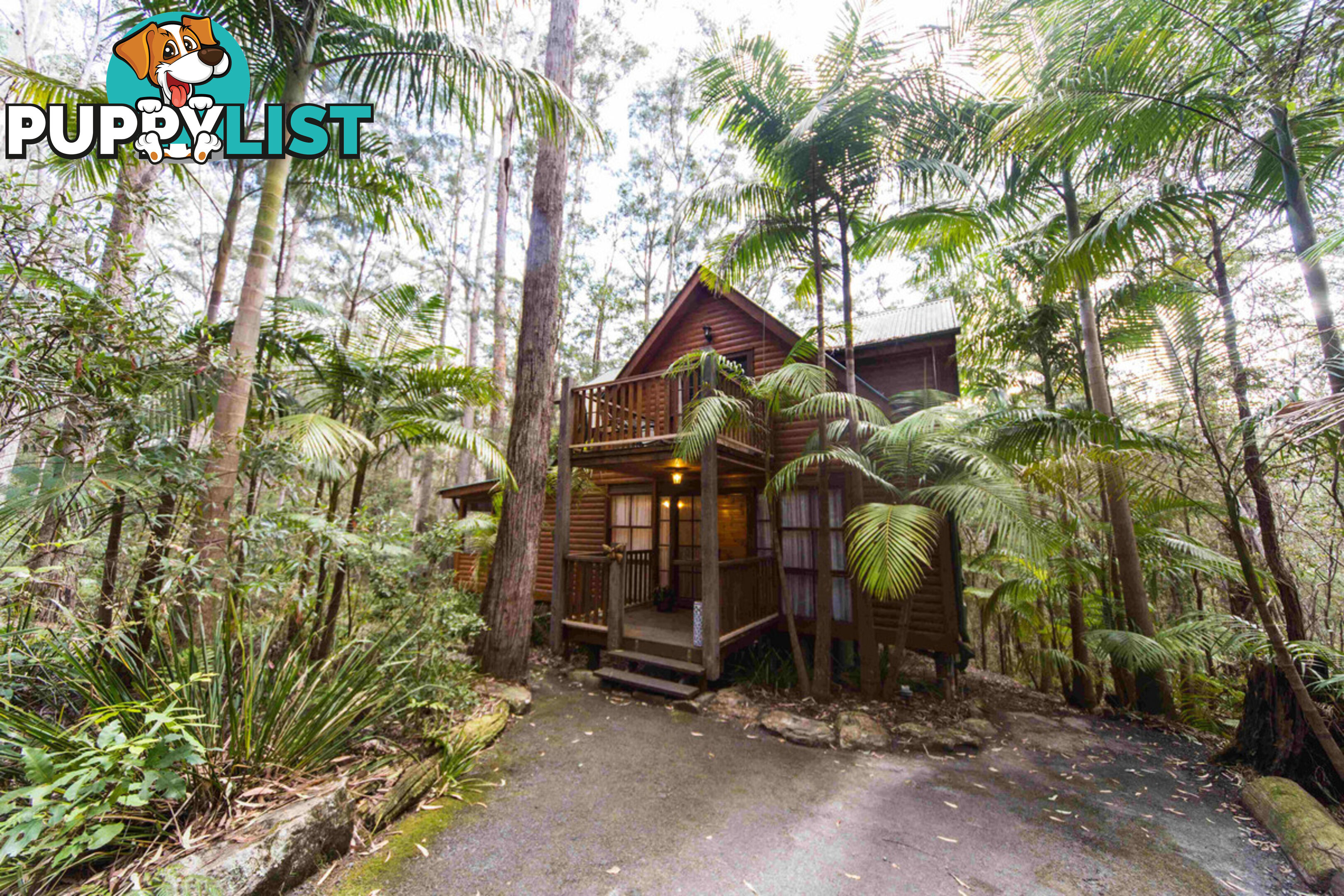 2058 Springbrook Road SPRINGBROOK QLD 4213