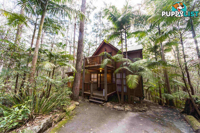 2058 Springbrook Road SPRINGBROOK QLD 4213