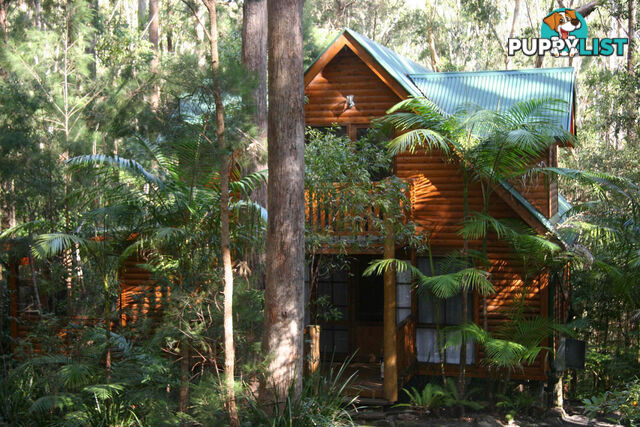 2058 Springbrook Road SPRINGBROOK QLD 4213