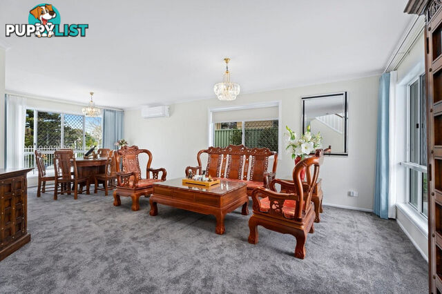 59 Cabana Boulevard BENOWA QLD 4217