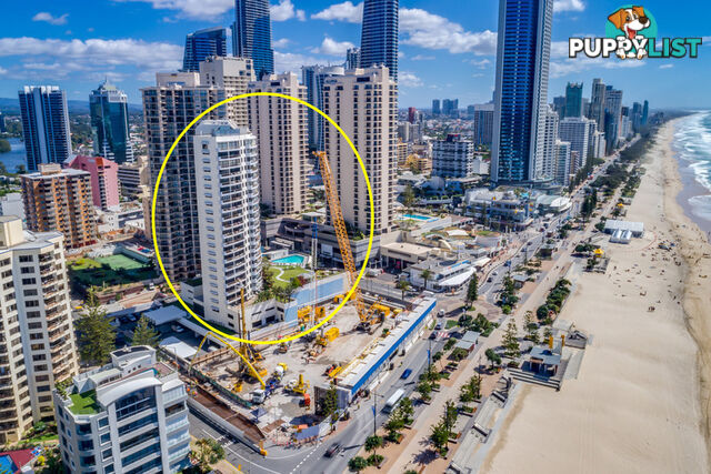 304 9 Trickett Street Surfers Paradise QLD 4217