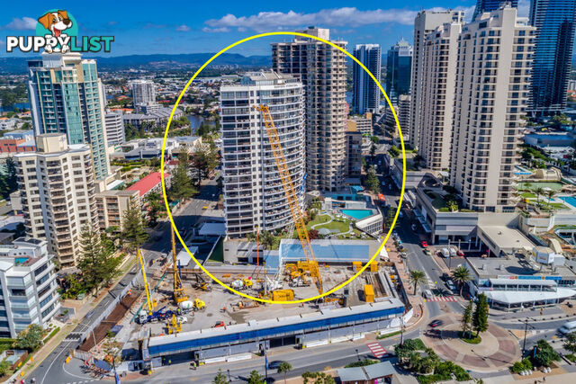 304 9 Trickett Street Surfers Paradise QLD 4217