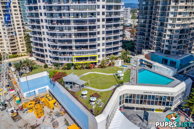 304 9 Trickett Street Surfers Paradise QLD 4217