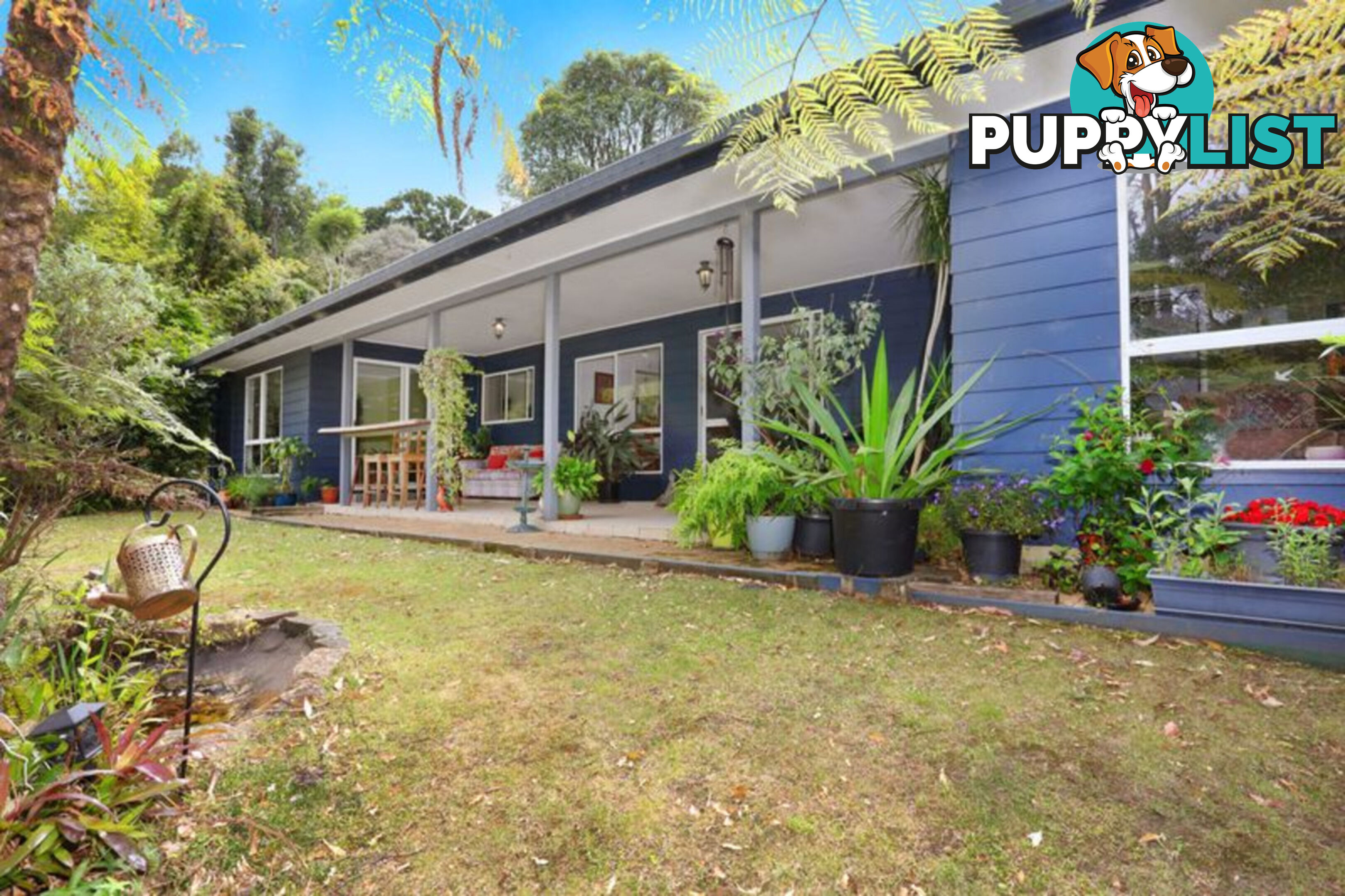 41 Lyrebird Ridge Road SPRINGBROOK QLD 4213