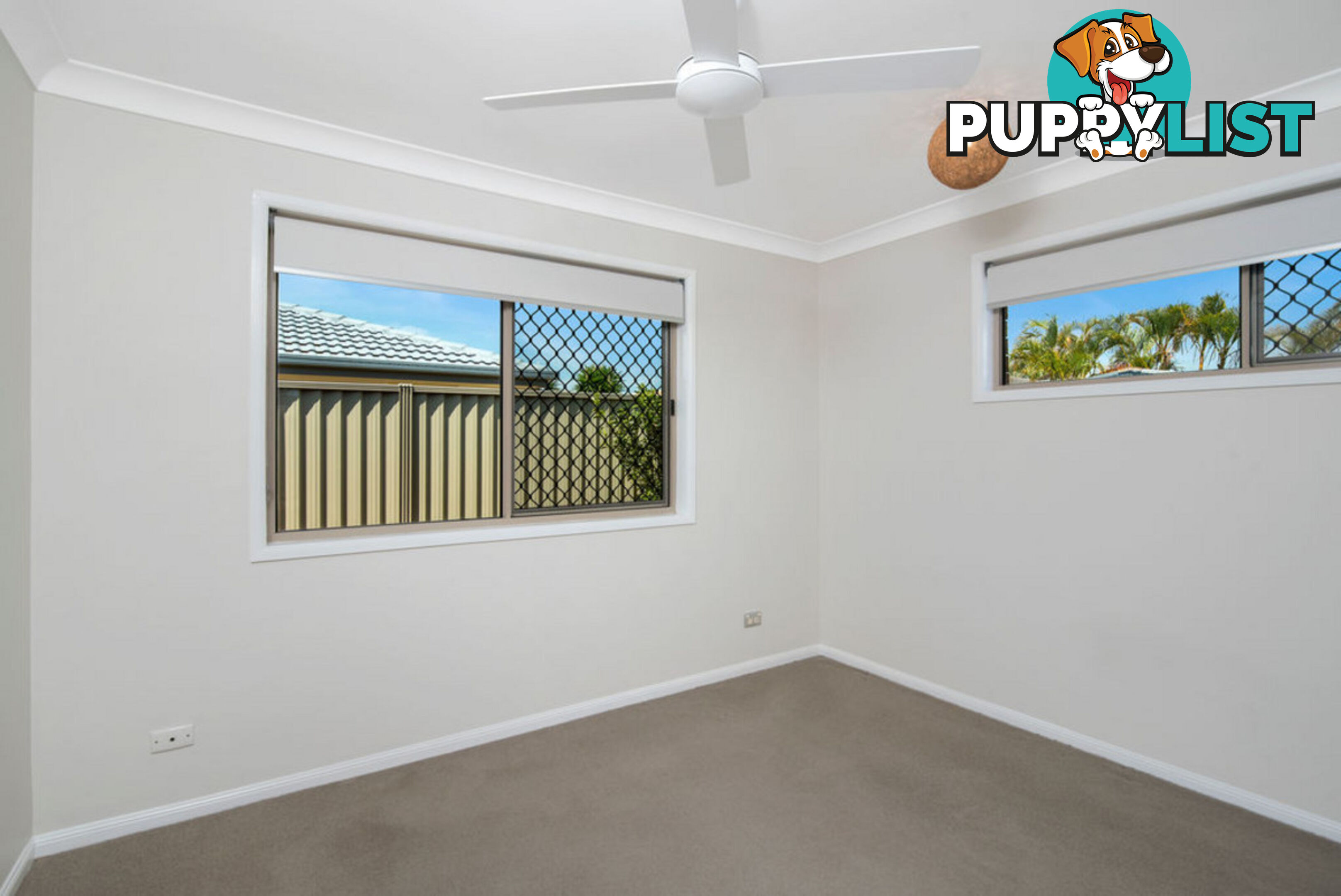 10 Agave Street ELANORA QLD 4221