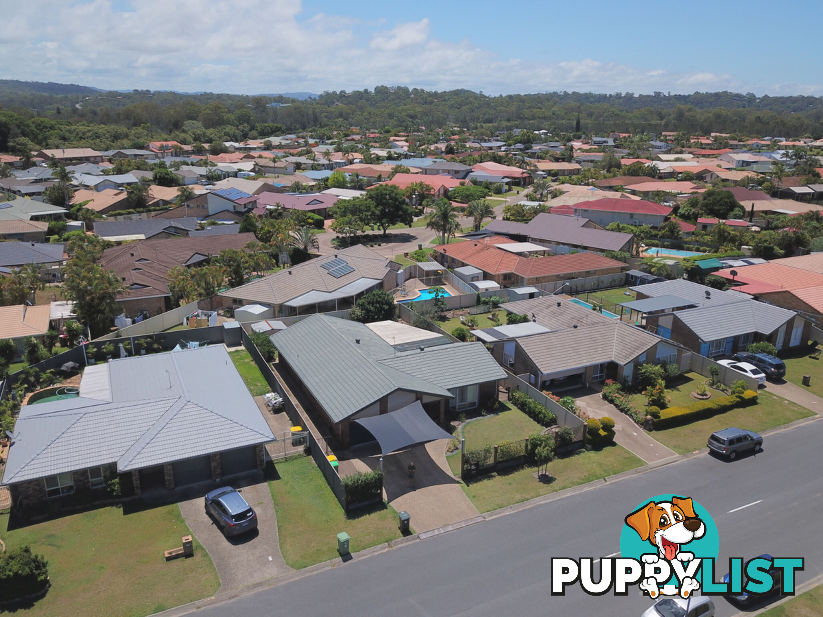 10 Agave Street ELANORA QLD 4221