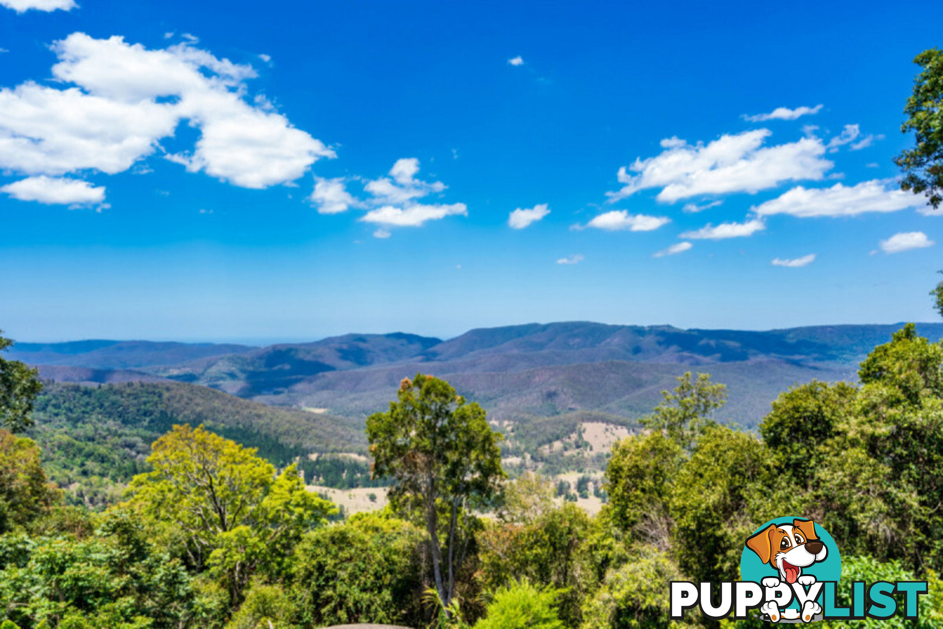 1-3 Willow Court BEECHMONT QLD 4211